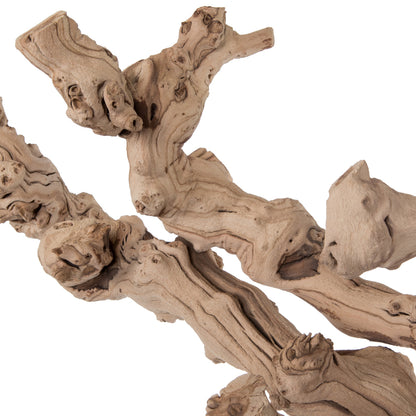 Vickerman Grapewood Sand Blasted Branch 36" Dried