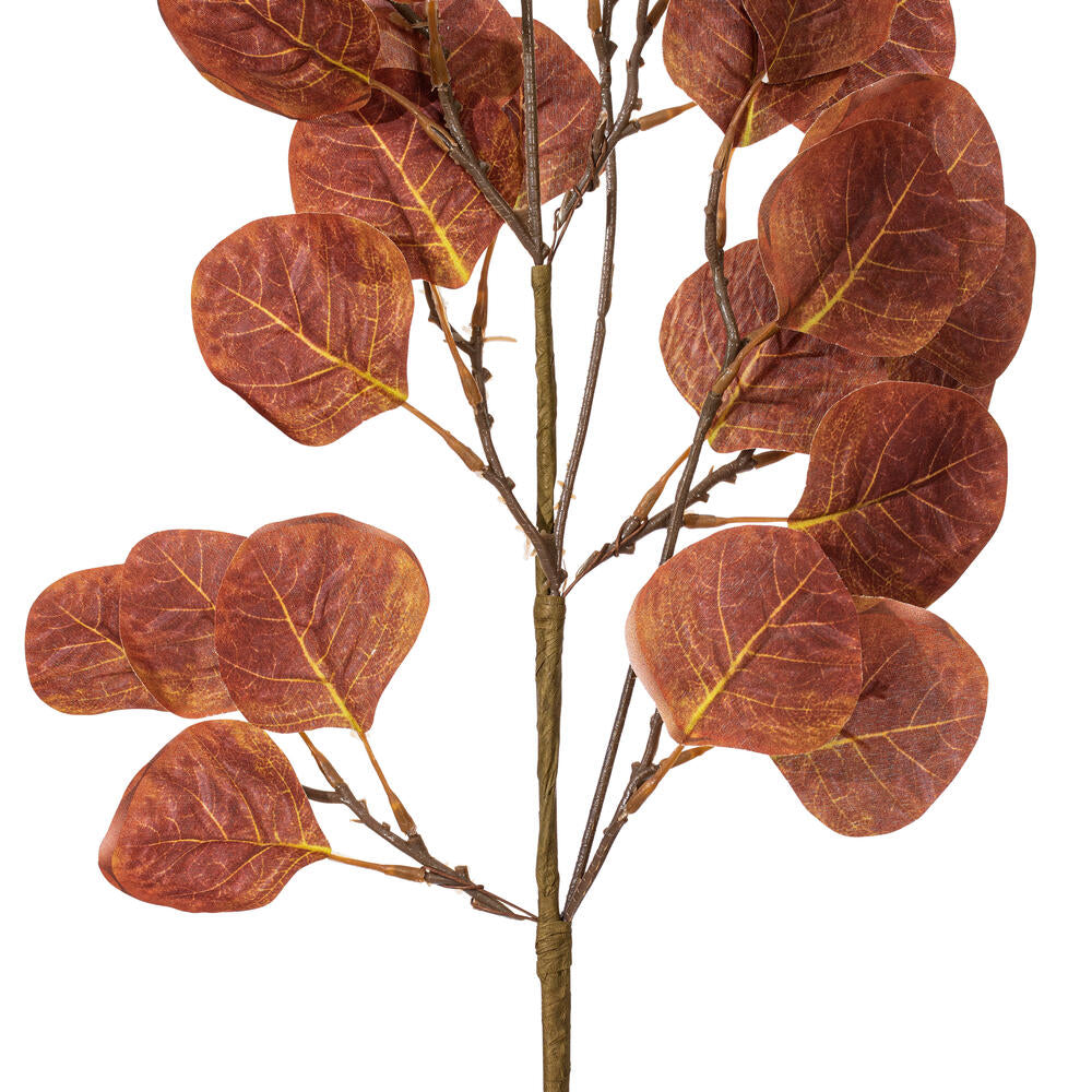 Vickerman 32" Dark Brown Artificial Silver Dollar Eucalyptus Leaf Spray 3 per bag.