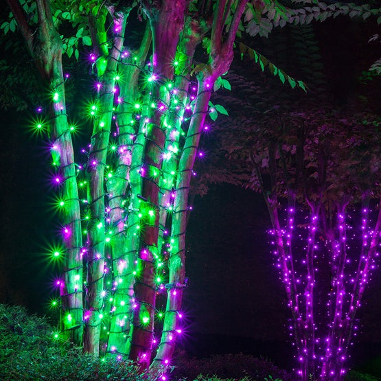 50 Light LED Conical (5MM) Light Set Green Bulbs on Green Wire, Approx. 17'4" Long