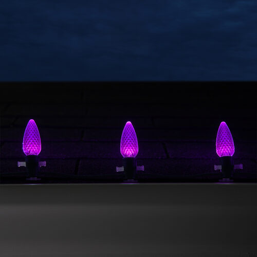 25-Light LED C9 Light Set; Purple Bulbs on Green Wire, Approx. 16'6" Long