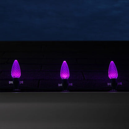 25-Light LED C9 Light Set; Purple Bulbs on Green Wire, Approx. 16'6" Long