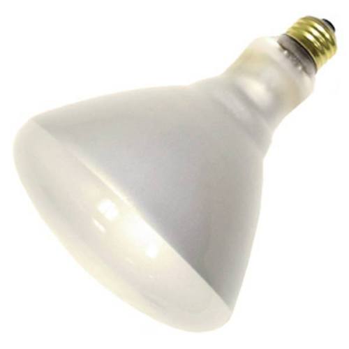 Philips Incandescent Light Bulb