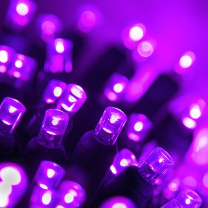 Purple Conical LED Craft Lights on Green Wire - 20 Lights, Approx. 5' Long