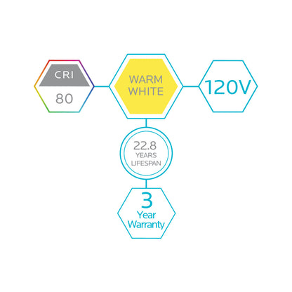 Luxrite LED PAR38 Spotlight Light Bulb, 15W, 1250 Lumens, 2700K - Warm White, 80 CRI, White Finish, Dimmable, Pack of 5  (LR31615)