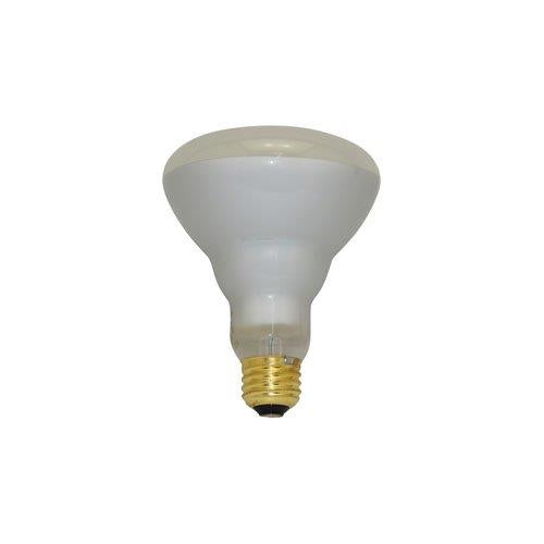 Bulbrite 100R30PG 100 Watt Incandescent Plant Grow R30 Reflector, Medium Base, Blue