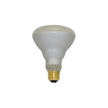 Bulbrite 100R30PG 100 Watt Incandescent Plant Grow R30 Reflector, Medium Base, Blue