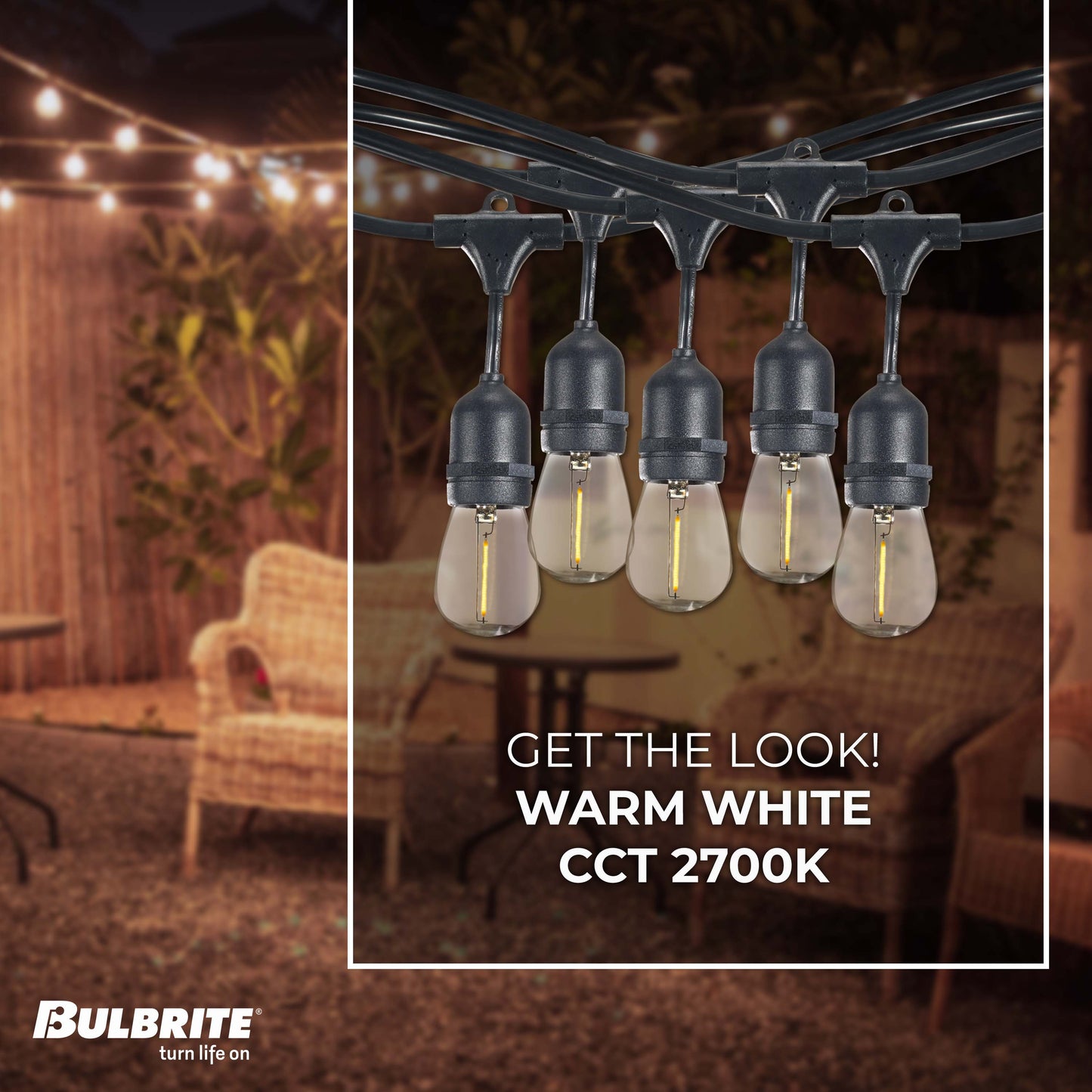 Bulbrite 30-foot String Light Kit with Clear Shatter Resistant Vintage Style S14 LED Light Bulbs
