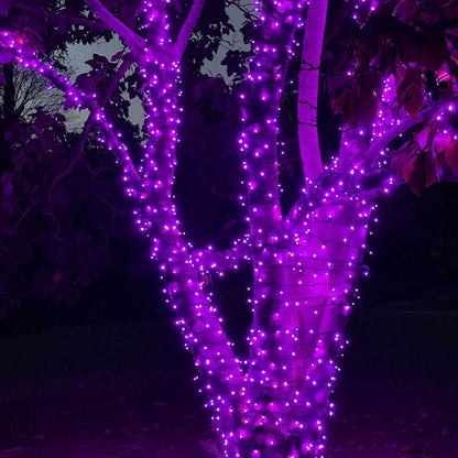 Purple Conical LED Craft Lights on Green Wire - 20 Lights, Approx. 5' Long