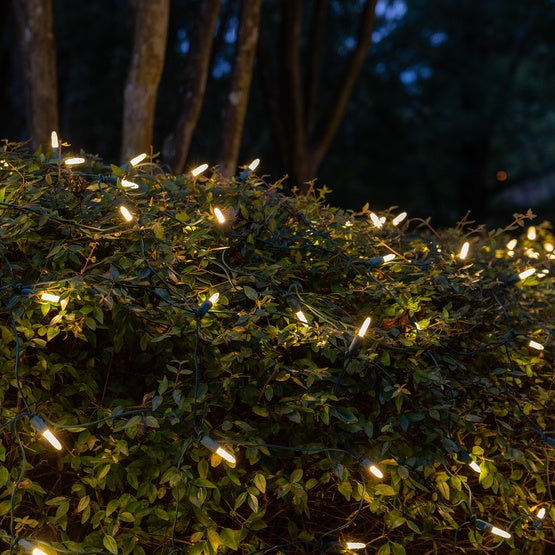 50-LITE RECTIFIED M5 LED LIGHT SET; WARM WHITE BULBS; GREEN WIRE, Approx. 25' 8" Long