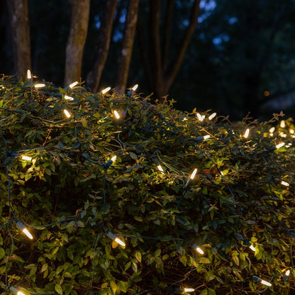 50-LITE RECTIFIED M5 LED LIGHT SET; WARM WHITE BULBS; GREEN WIRE, Approx. 25' 8" Long