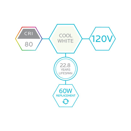 Luxrite LED A19, GU24 Twist & Lock Base, 9W, 4000K - Cool White, 800 Lumens, 80 CRI, Frost Finish, Dimmable, Pack of 12 (LR21462)