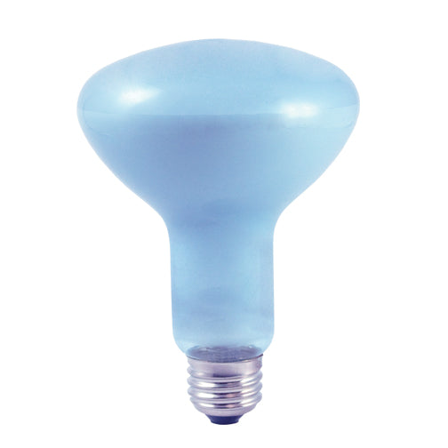 Bulbrite 65R30FL/N 65 Watt Incandescent True Daylight R30 Reflector, Medium Base, Clear