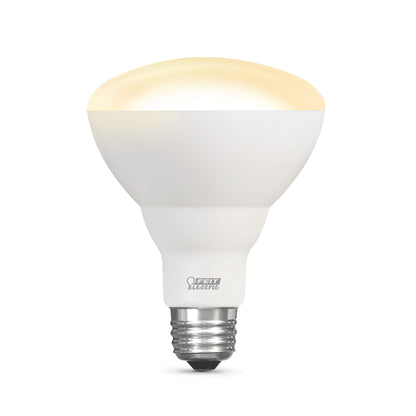 IntelliBulb Day and Night 650 Lumen 2700K and 5000K LED BR30