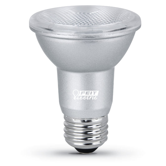 450 Lumen 5000K PAR20