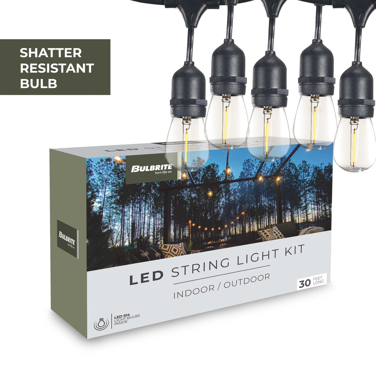 Bulbrite 30-foot String Light Kit with Clear Shatter Resistant Vintage Style S14 LED Light Bulbs