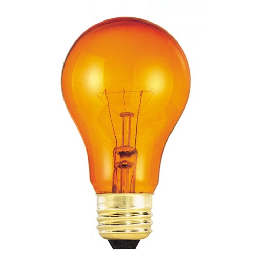 Bulbrite 25A/TO 25 Watt Incandescent A19 Party Bulb, Medium Base, Transparent Orange