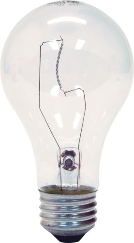GE Lighting 97478 25-Watt 215-Lumen Decorative A19 Incandescent Light Bulb, Crystal Clear,