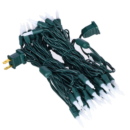 Vickerman 25' Frosted Warm White Single Mold Italian LED Christmas light set.- 2 Pack