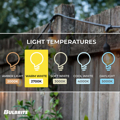 Bulbrite 14-foot String Light Kit with Clear Shatter Resistant Vintage Style S14 LED Light Bulbs