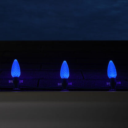 25-Light LED C9 Light Set; Blue Bulbs on Green Wire, Approx. 16'6" Long