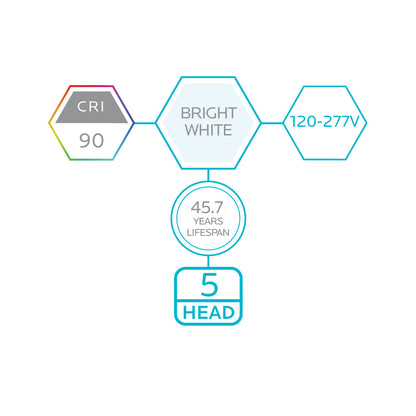 Luxrite Downlight LEDML5/10W/950/D 5000K Bright White