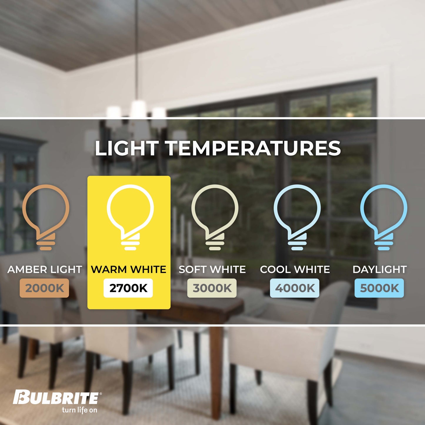 Bulbrite Torpedo 25mm, 15 Watt Dimmable B8 Incandescent Light Bulbs with E12 Candelabra Base, Clear, Pack of 50