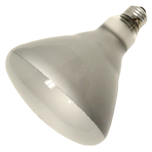 Sylvania Incandescent Light Bulb