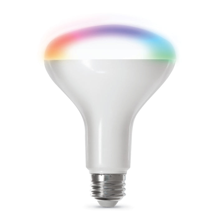 65-Watt Equivalent RGBW BR30 Alexa Google LED Smart Light Bulb