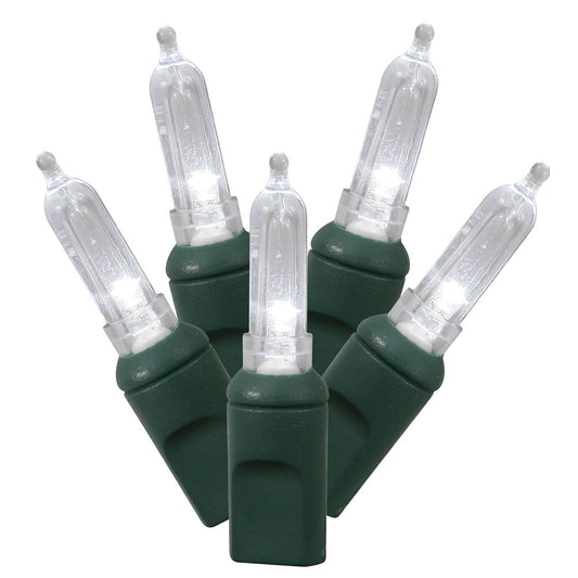Vickerman 50 Pure White Italian LED Light on Green Wire, 25' Christmas Single Mold Light Strand- 2 Pack