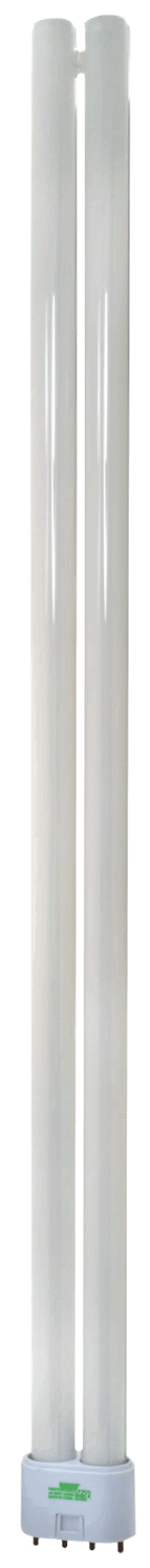 Damar F55LTT / 4P / 841 / ECO 2G11