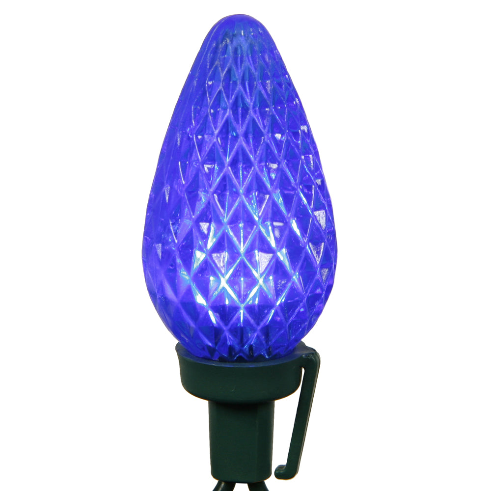 Vickerman 25 Blue C9 LED Light on Green Wire, 16' Christmas Single Mold Light Strand- 2 Pack