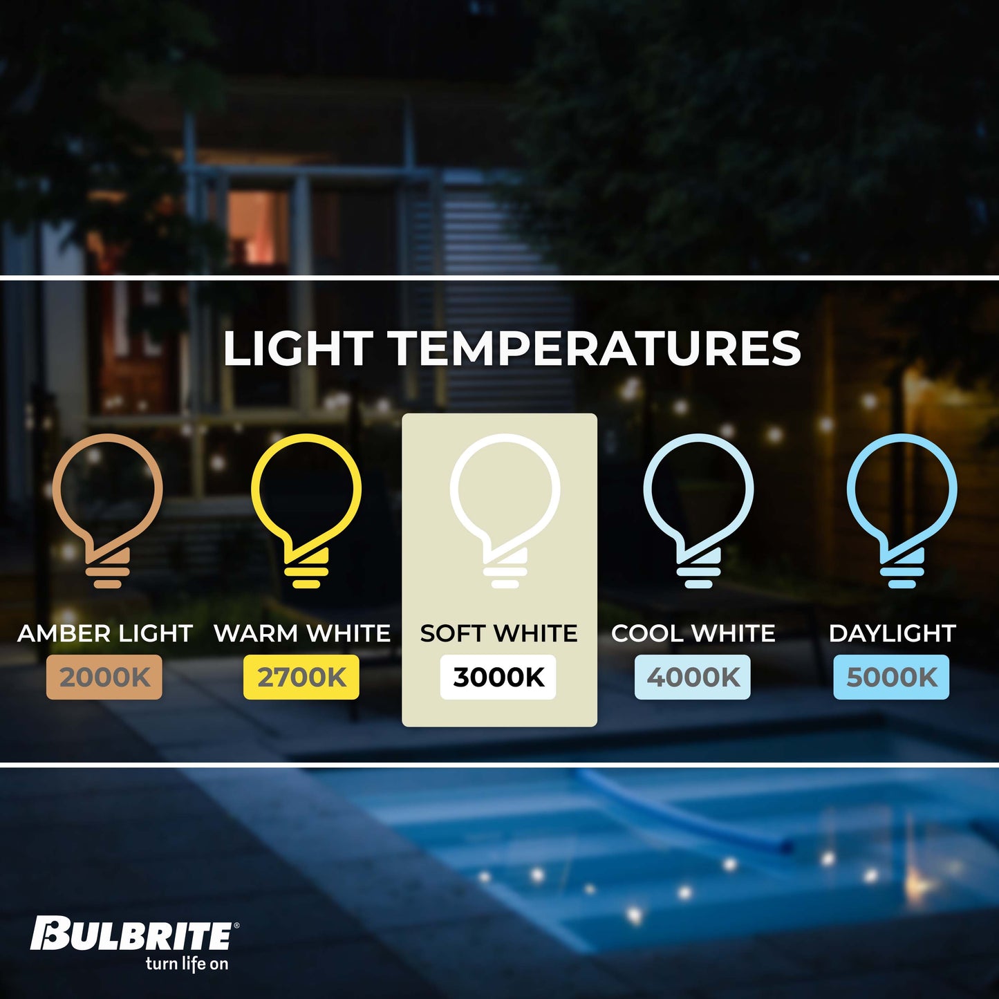 Bulbrite Pack of (8) 7 Watt Dimmable Clear ST18 LED Light Bulbs with Medium (E26) Base, 3000K Soft White Light, 800 Lumens