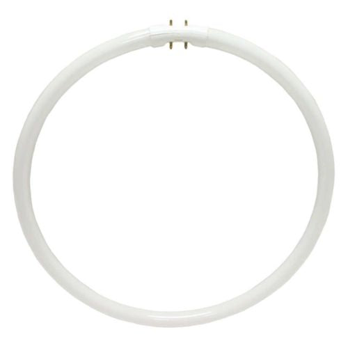 Sylvania 20732 FPC40/835 Circular T5 Fluorescent Tube Circline Light Bulb