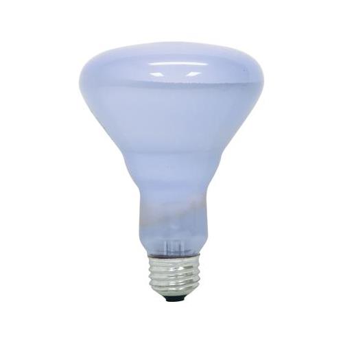 GE Lighting 48692 65-Watt 445-Lumen R30 Indoor Floodlight, Frosted Reveal