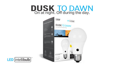 60-Watt Equivalent A19 Daylight Dusk-to-Dawn LED