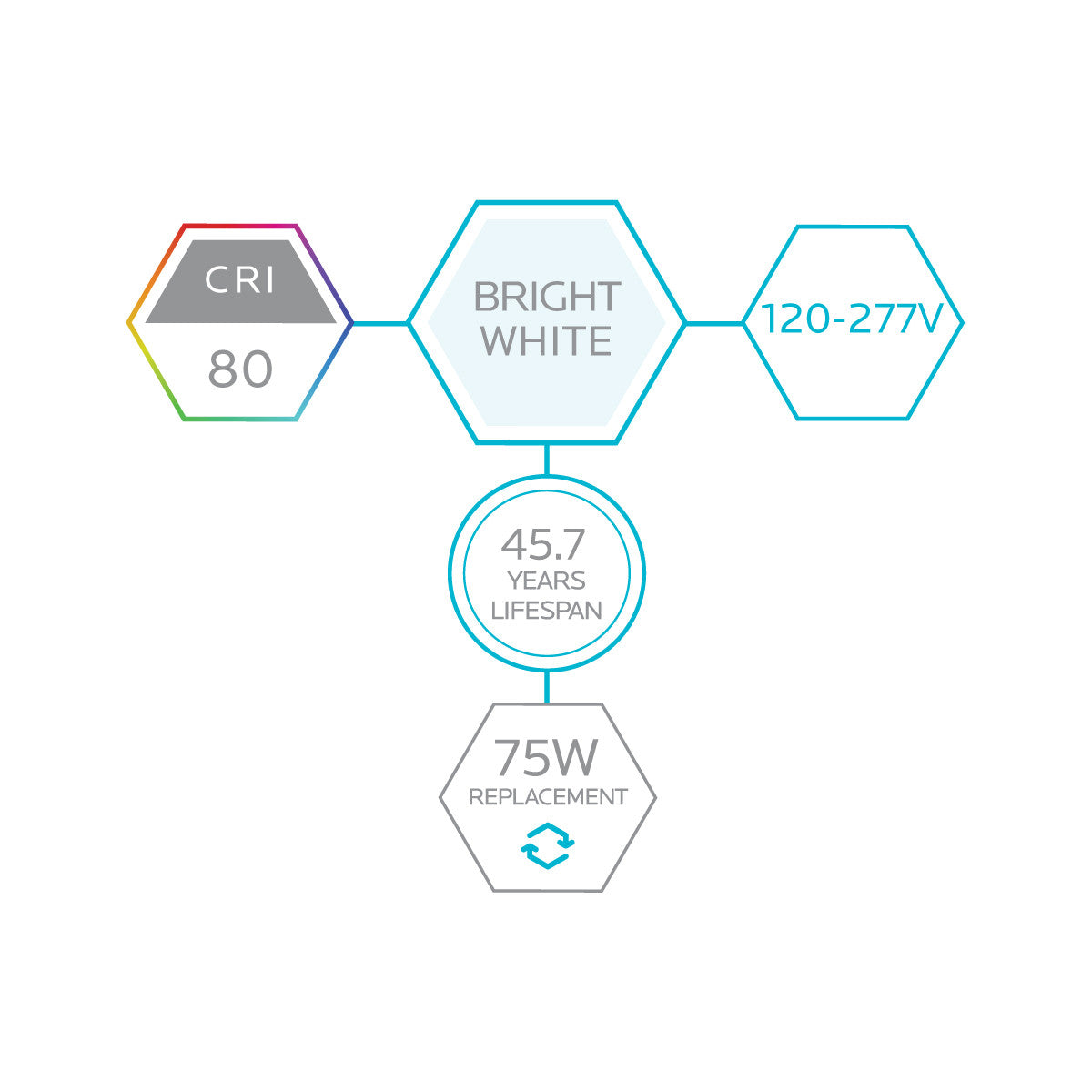 Luxrite LED 8' T8 Ballast Bypass Tube, R17D Base, 42W, 5500 Lumens, 5000K - Bright White, 82 CRI, Frosted White Finish (LR34136)
