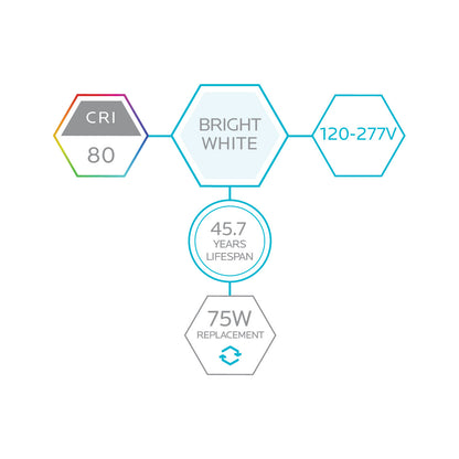 Luxrite LED 8' T8 Ballast Bypass Tube, R17D Base, 42W, 5500 Lumens, 5000K - Bright White, 82 CRI, Frosted White Finish (LR34136)