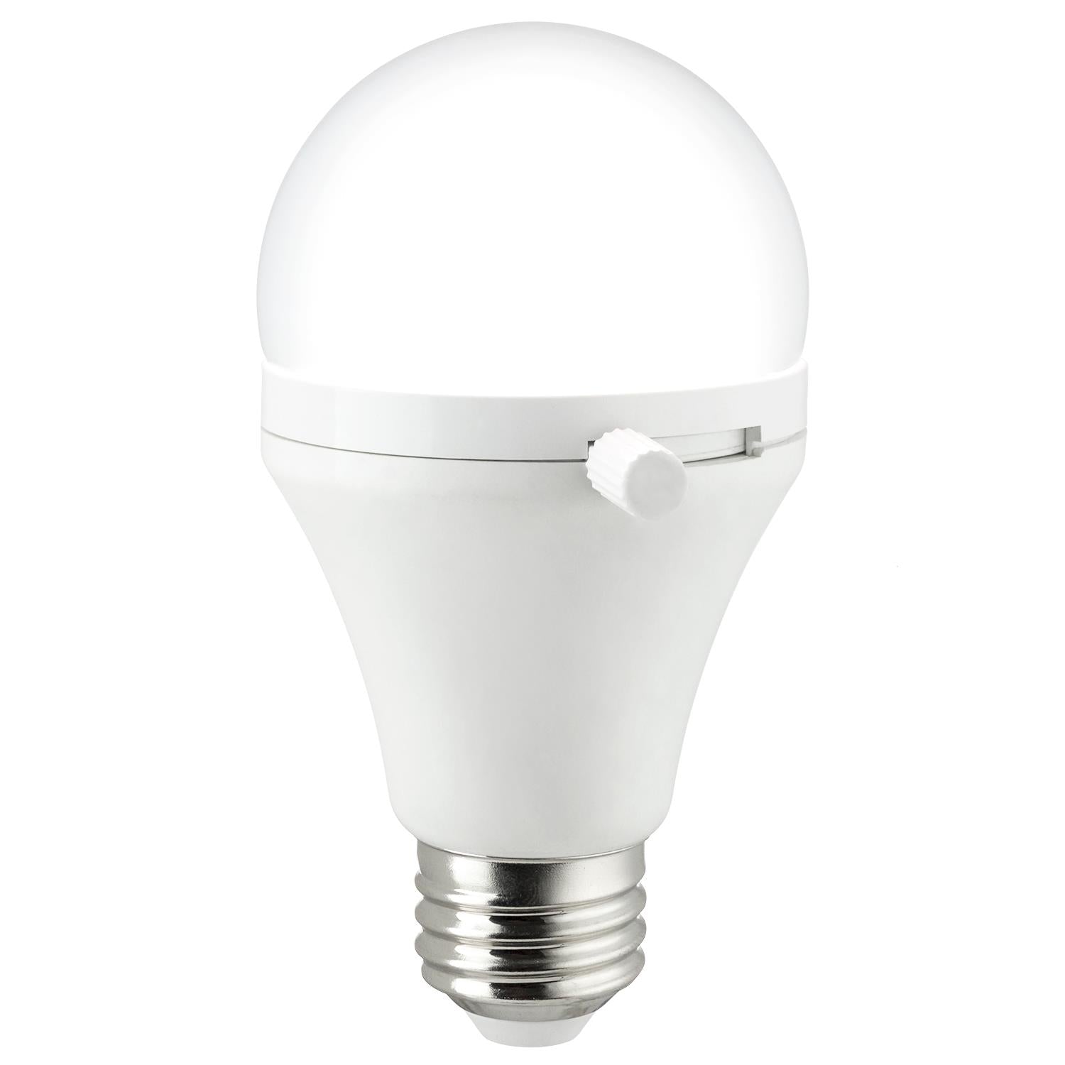 Sunlite ShabBulb LED Light Bulb