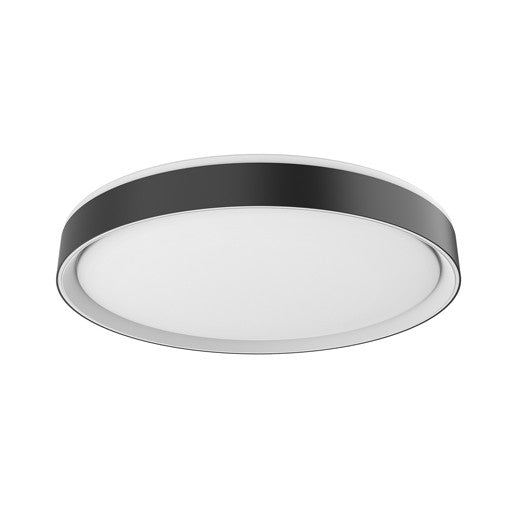 Essex FM43920 BK/WH Ceiling Light Fixture
