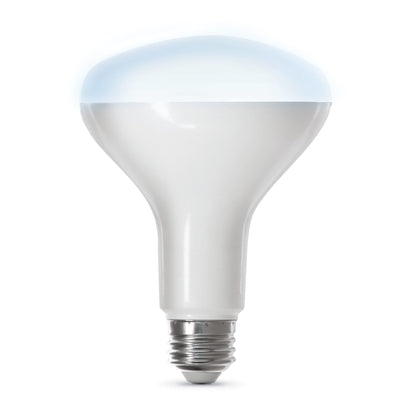 650 Lumen 5000K Smart Wifi Bulb