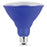 PAR38 Blue Holiday & Party LED (Boxed)