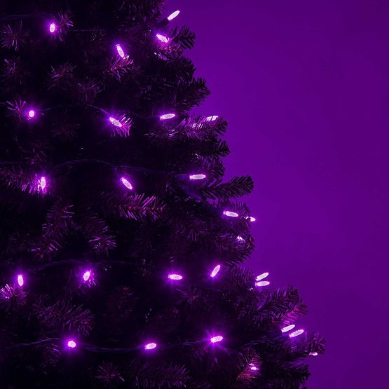 50 Light LED Mini Ice (M5) Light Set Purple Bulbs on Green Wire, Approx. 17'8" Long