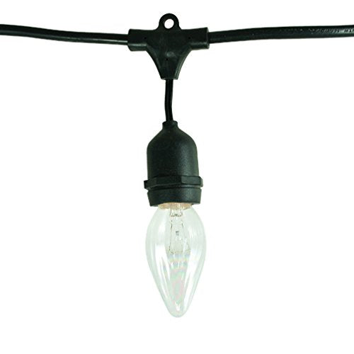 Bulbrite STRING15/E26-25F15CL Outdoor String Light w/Clear Iridescent Fiesta Bulbs, 48-Feet, 15 Lights