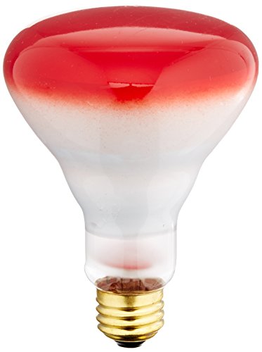 Bulbrite 75BR30R 75 Watt BR30 Reflector, Medium Base, Red