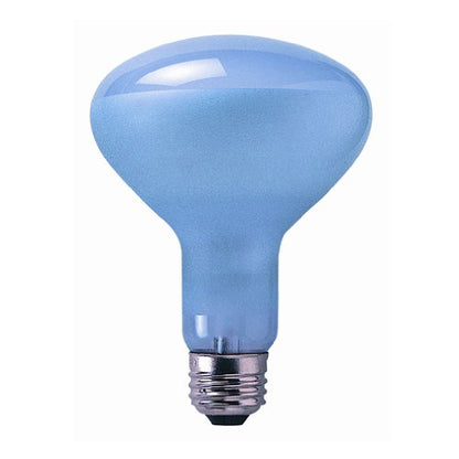 Bulbrite 65R30FL/N 65 Watt Incandescent True Daylight R30 Reflector, Medium Base, Clear