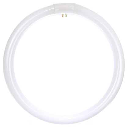 Sunlite 32 Watt T9 Lamp Daylight FC12T9/DL