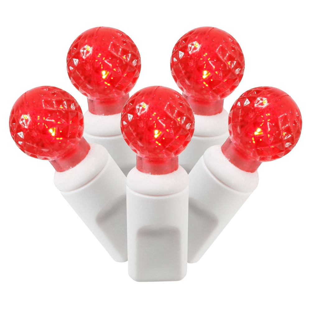 Vickerman 50 Red G12 LED Light on White Wire, 25' Christmas Single Mold Light Strand- 2 Pack