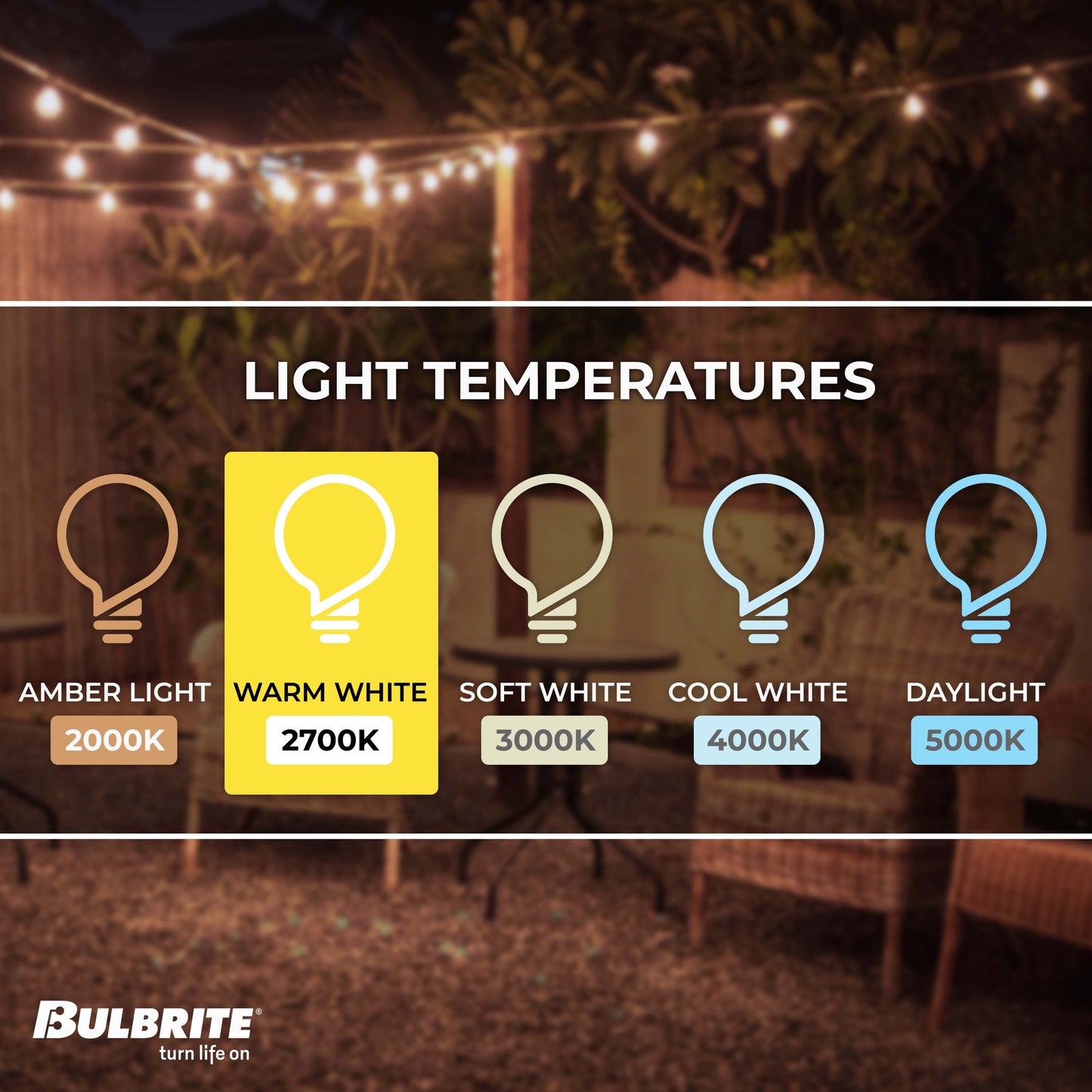 Bulbrite 30-foot String Light Kit with Clear Shatter Resistant Vintage Style S14 LED Light Bulbs