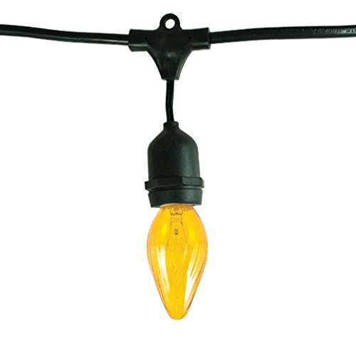 Bulbrite STRING15/E26-25F15A Outdoor String Light w/Amber Fiesta Bulbs, 48-Feet, 15 Lights