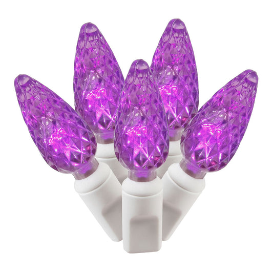 Vickerman 50 Purple C6 LED Light on White Wire, 25' Christmas Single Mold Light Strand- 2 Pack